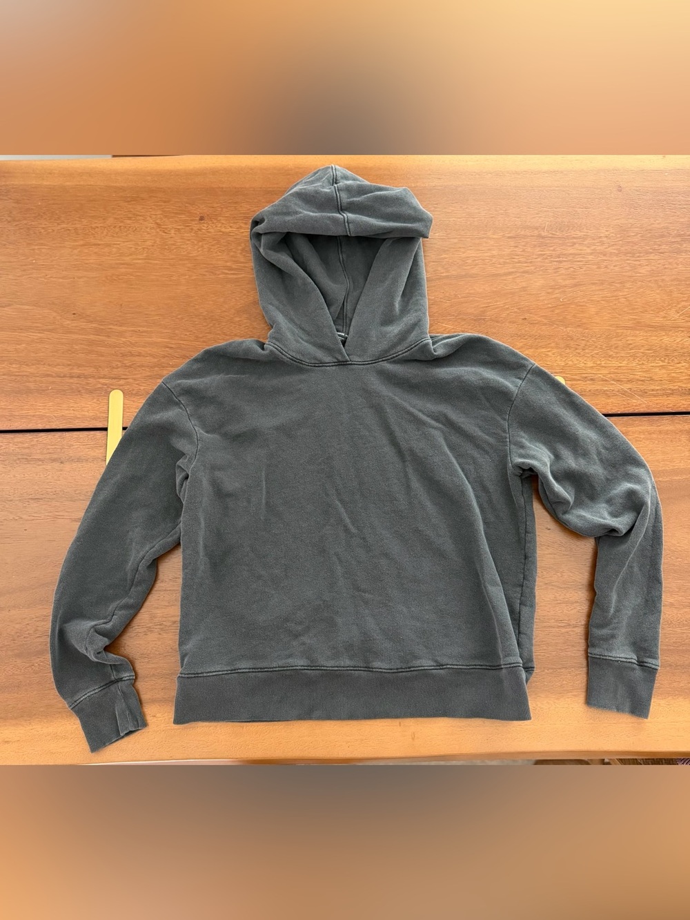 James Perse grey Hooded Sweatshirt